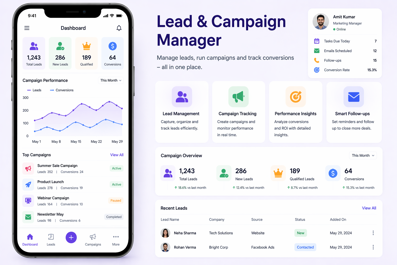 Lead and campaign manager interface